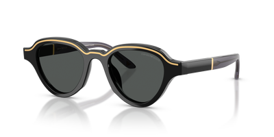 Gafas de Sol Emporio Armani EA4264U 501787 47 20