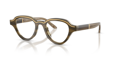 Gafas de Sol Emporio Armani EA4264U 63381W 47 20