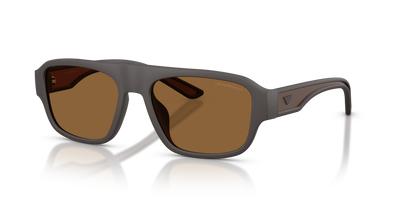 Gafas de Sol Emporio Armani EA4266U 618673 55 17