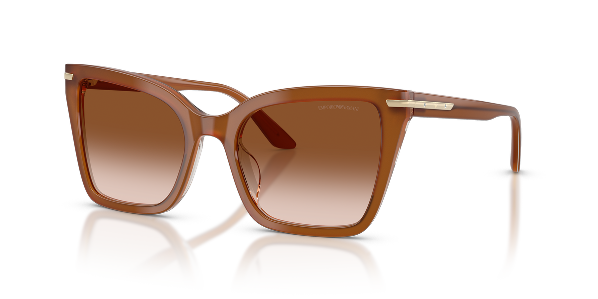 Gafas de Sol Emporio Armani EA4273BU 637613 53 19