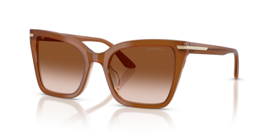 Gafas de Sol Emporio Armani EA4273BU 637613 53 19