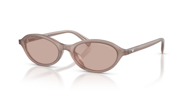 太阳镜 Emporio Armani EA4281U 645673 52 18