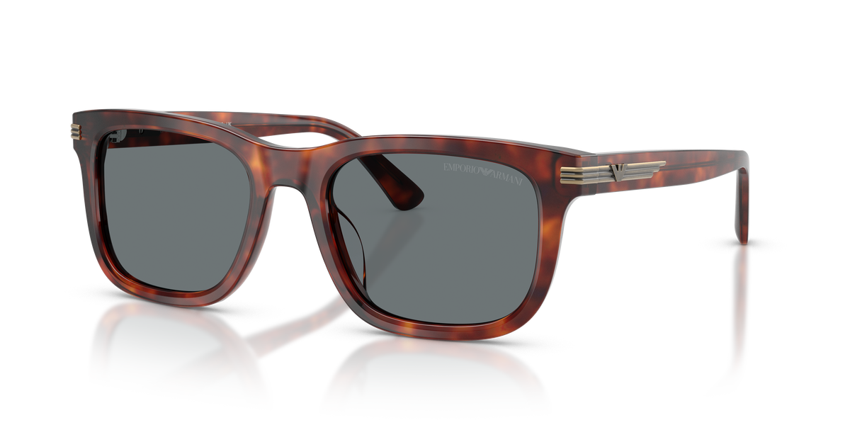 Gafas de Sol Emporio Armani EA4282U 603480 54 20
