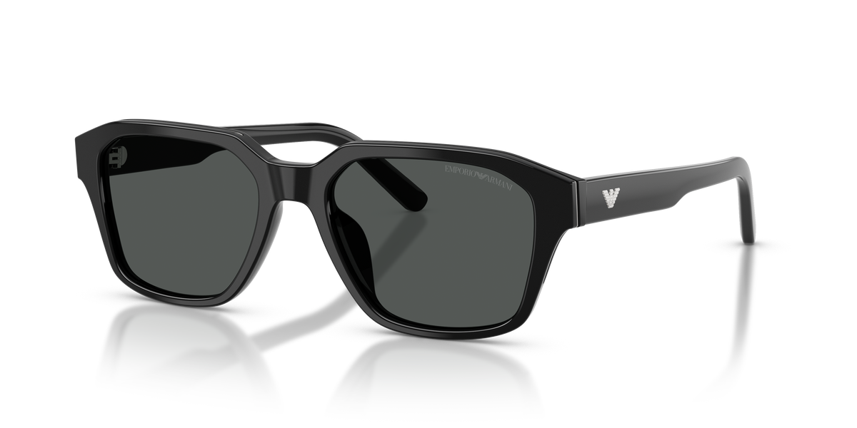 太阳镜 Emporio Armani EA4283U 501787 53 18