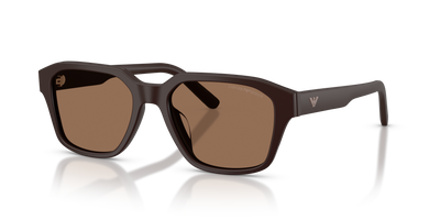 Sonnenbrille Emporio Armani EA4283U 645873 53 18