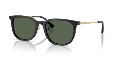太阳镜 Emporio Armani EA4286D 500171 55 20