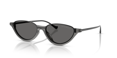Gafas de Sol Emporio Armani EA4288U 650187 54 17