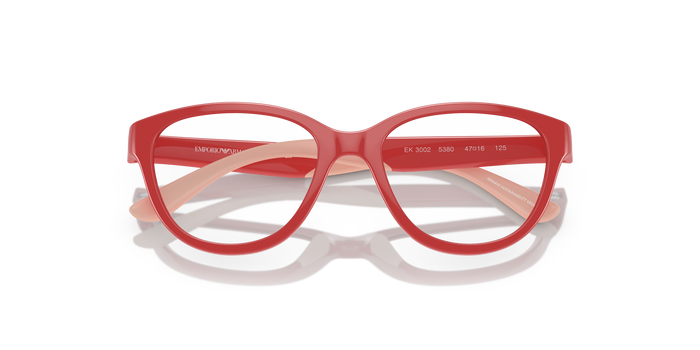阿尔马尼埃克3002埃克3002 5380 47 16 Emporio Armani EK3002 — vista 5