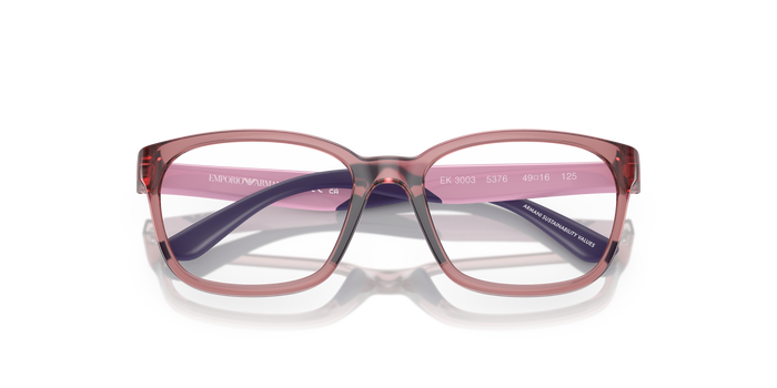 Gafas Graduadas Emporio Armani Ek3003 EK3003 5376 49 16 — vista 5