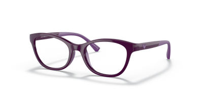 Оправа для очков Emporio Armani Ek3204 EK3204 5115 48 17