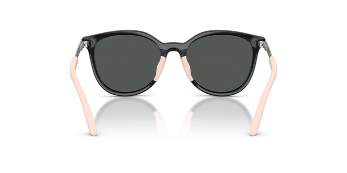 Sonnenbrille Emporio Armani Ek4007U EK4007U 501787 49 17 — vista 3
