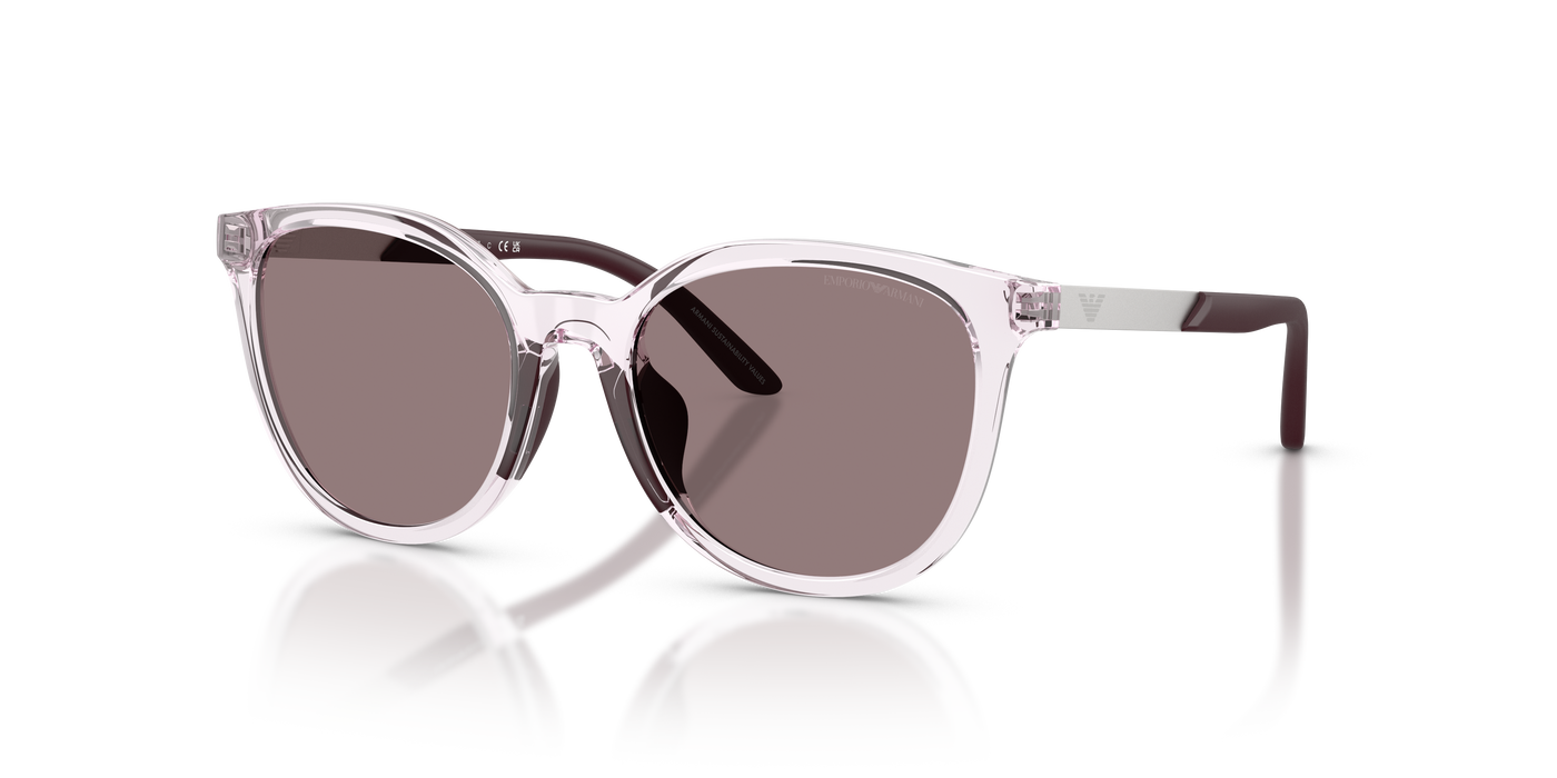 Sunglasses Emporio Armani Ek4007U EK4007U 61397N 49 17