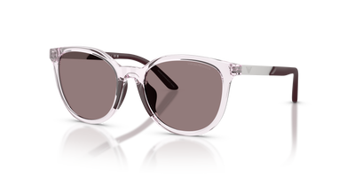 Sonnenbrille Emporio Armani Ek4007U EK4007U 61397N 49 17