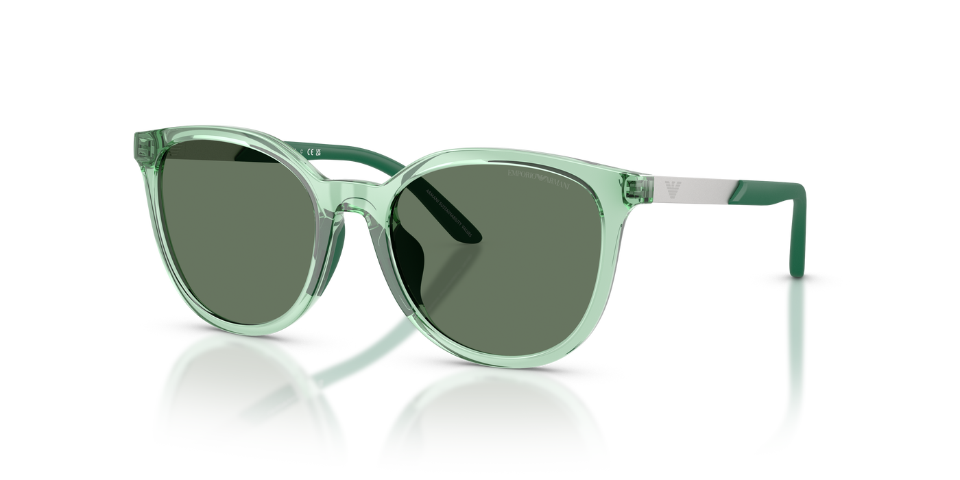 Sunglasses Emporio Armani Ek4007U EK4007U 628182 49 17