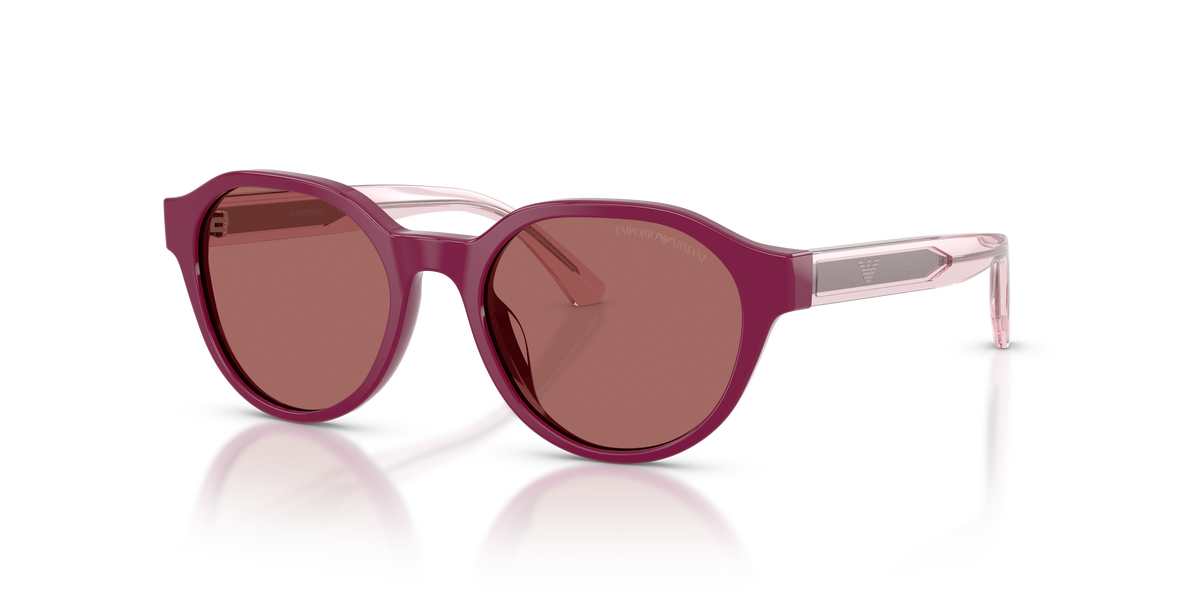 Sunglasses Emporio Armani EK4008U 638369 48 17