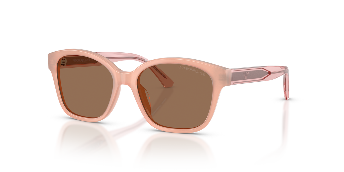 Sunglasses Emporio Armani EK4009U 638773 49 15