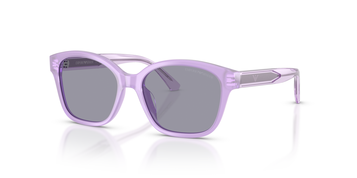 Sunglasses Emporio Armani EK4009U 638880 49 15
