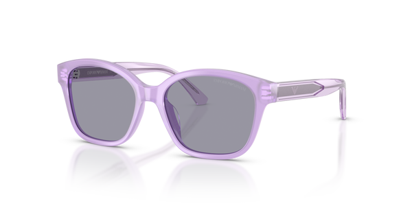 Gafas de Sol Emporio Armani EK4009U 638880 49 15 · 1