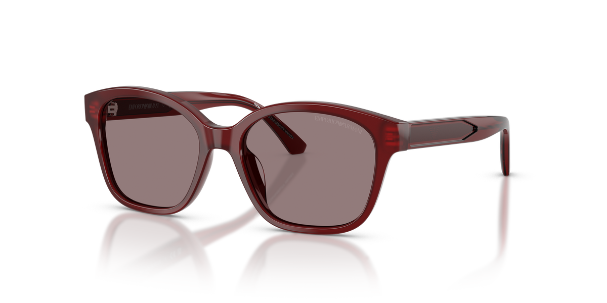 Sunglasses Emporio Armani EK4009U 63897N 49 15