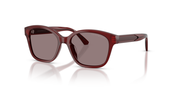 Gafas de Sol Emporio Armani EK4009U 63897N 49 15 · 1