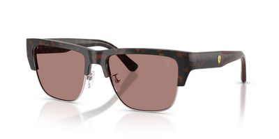 Gafas de Sol FERRARI FZ6026 760/73 55 17