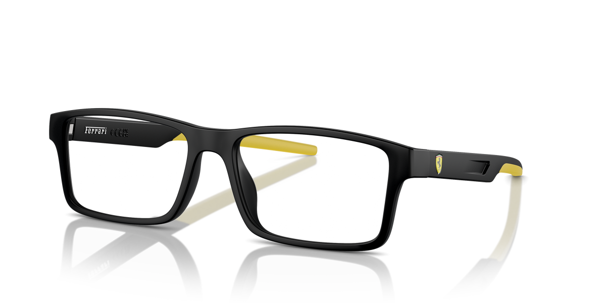 Sunglasses Ferrari FZ8004U 504