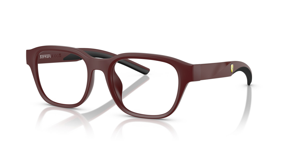Sunglasses Ferrari FZ8017U 530