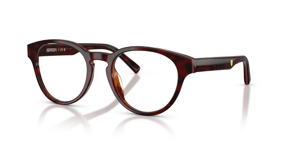 Sunglasses Ferrari FZ8022U 745