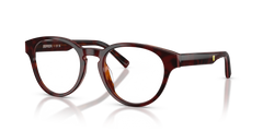 Sunglasses Ferrari FZ8022U 745