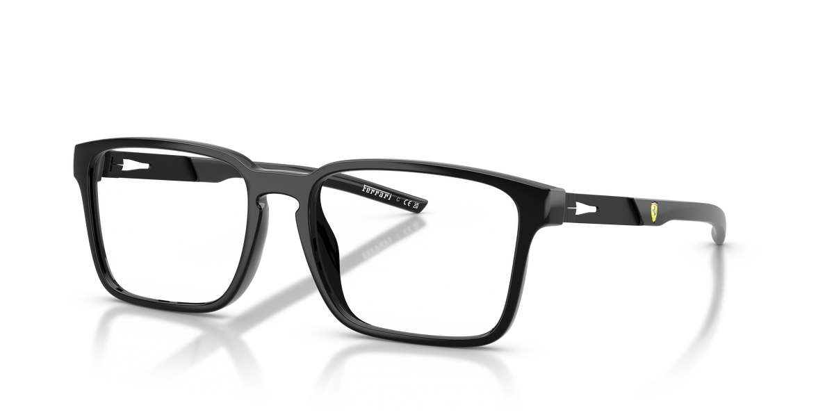 Sunglasses Ferrari FZ8025U 504