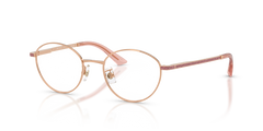 Prescription Glasses Jimmy Choo JC2018JD 3008 48 19