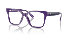 Sunglasses Jimmy Choo JC3006U 5050 53 16