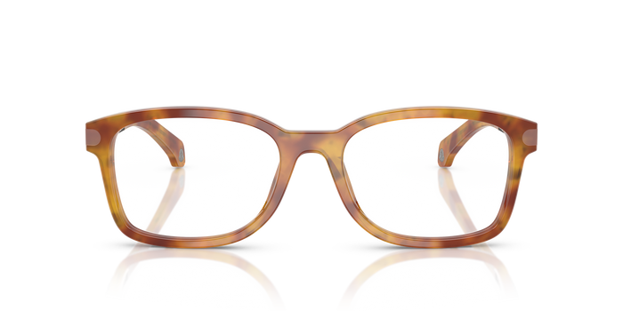 Lunettes de soleil Moncler ME2006 3011 — Image 2