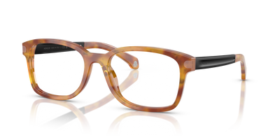 Sonnenbrille Moncler ME2006 3011
