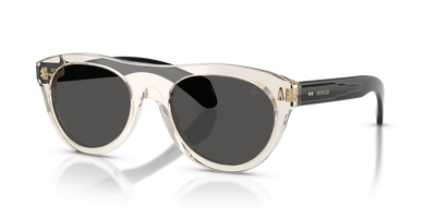 太阳镜 Moncler Splash ME6022U 300387 53 20