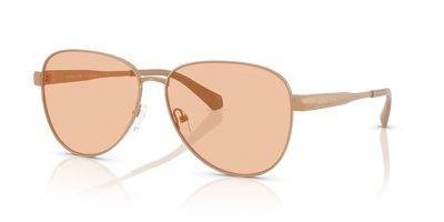 Sunglasses Michael Kors Biarritz MK1160 190073 59 14