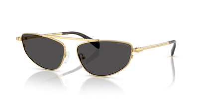 Sunglasses Michael Kors Buenos Aires MK1164 189687 60 15