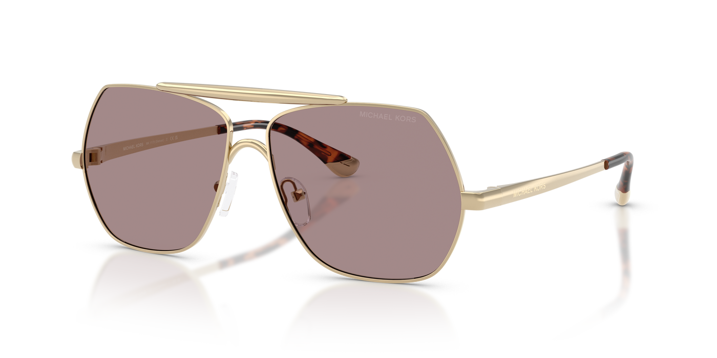 Солнцезащитные очки Michael Kors Denver MK1173 1014LA 58 13