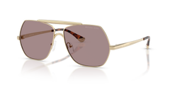 Michael Kors Denver MK1173 1014LA 58 13 太阳镜