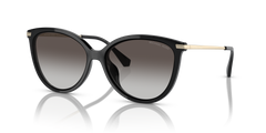 Michael Kors Dupont MK2184U 30058G 56 15 太阳镜