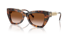 Sunglasses Michael Kors Montecito MK2205 39043B 52 19