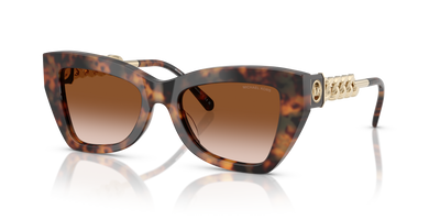 Солнцезащитные очки Michael Kors Montecito MK2205 39043B 52 19