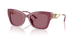 Michael Kors Cantabria MK2237U 32561A 52 20 太阳镜