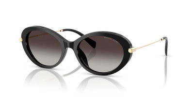 Sunglasses Michael Kors Rockaway MK2245U 30058G 53 18