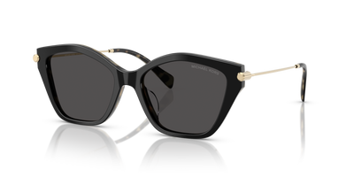 Lunettes de Soleil Michael Kors Catskills MK2246U 395087 54 17