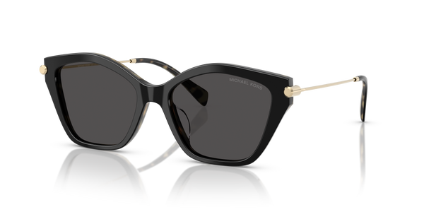 Gafas de Sol Michael Kors Catskills MK2246U 395087 54 17