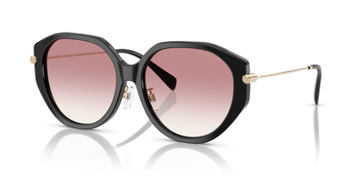 Sunglasses Michael Kors Jinan MK2248D 30058D 56 16