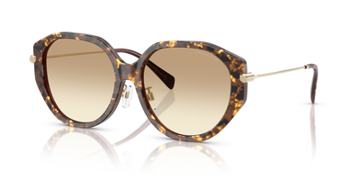 Sunglasses Michael Kors Jinan MK2248D 401613 56 16