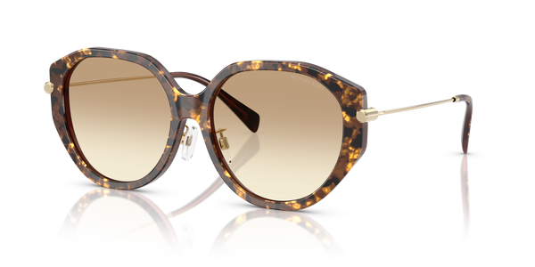 Gafas de Sol Michael Kors Jinan MK2248D 401613 56 16