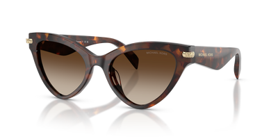 Sunglasses Michael Kors Roanoke MK2259U 403113 52 19